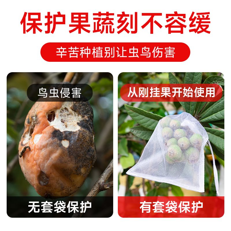 水果套袋防鸟网纱袋瓜果防虫袋无花果枇杷葡萄桃子草莓保护熨