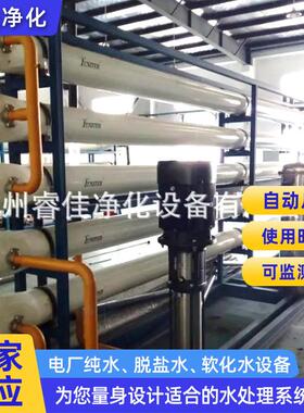 电厂纯水脱盐水软化水设备工业纯化水ro反渗透去离子水处理设备