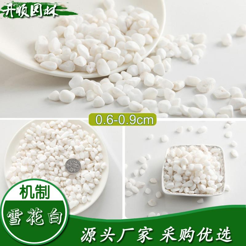 洗石子盆栽卵石园林米庭院鹅枯山小鹅软石水造景的石头天然白色卵