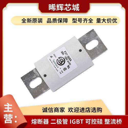 FWH-100BaFWH-80BaFWP-250A型号齐全标准封装直流快速熔断