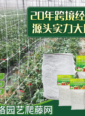 涤纶白色方形格子网园艺网爬藤架植物攀爬Netting网架