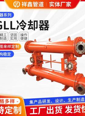 SGLL双联管空气冷却器厂家定/制润滑系统高效冷凝器换热设备