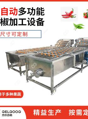 辣椒自动清洗设备 商用辣线椒彩椒气泡清洗洗机械 小米椒PFP椒全