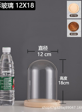 厂家跨境永生干花玻璃装饰摆件