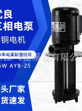 机床油泵厂家直供AYB-25125W三相冷却水泵磨床电泵