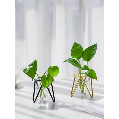 Nordic Home Decor Glass Vase Living Room Decoration Flower V