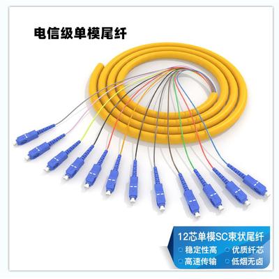 SC束装尾纤12芯光纤跳线万兆多模单模熔纤式尾纤跳线大方头电信级