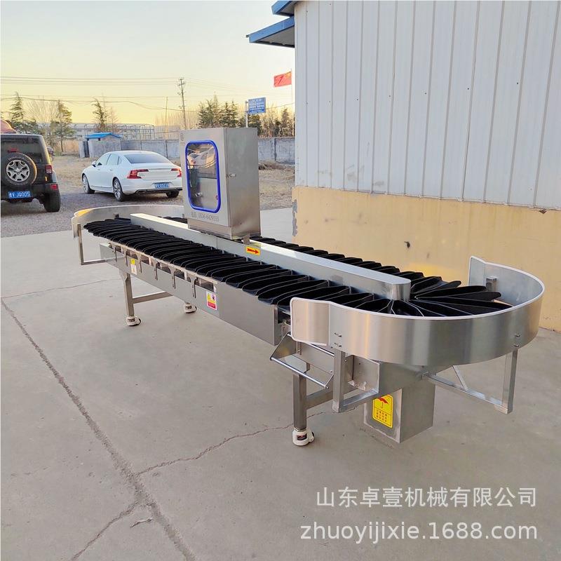 全自动输式称重机检品测分ZY-FXJ皮带式检测重量选秤药重量料盒送