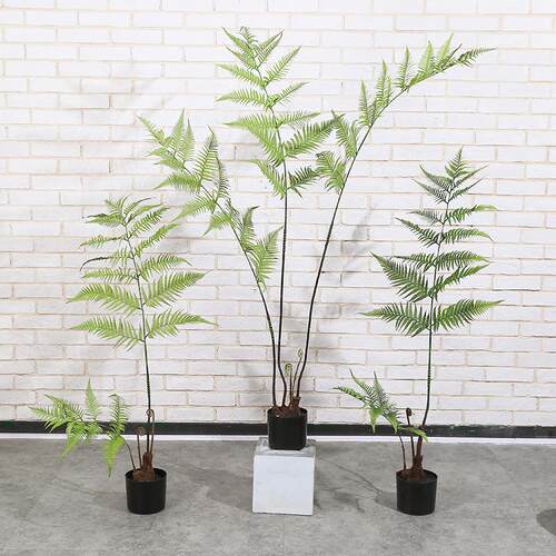 仿真猴头蕨金毛狗蕨假树室内中式园林系庭院造景装饰绿植盆栽