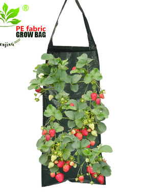 PE吊式草莓种植袋植物袋挂式美植袋成长袋生长包育苗袋花盆