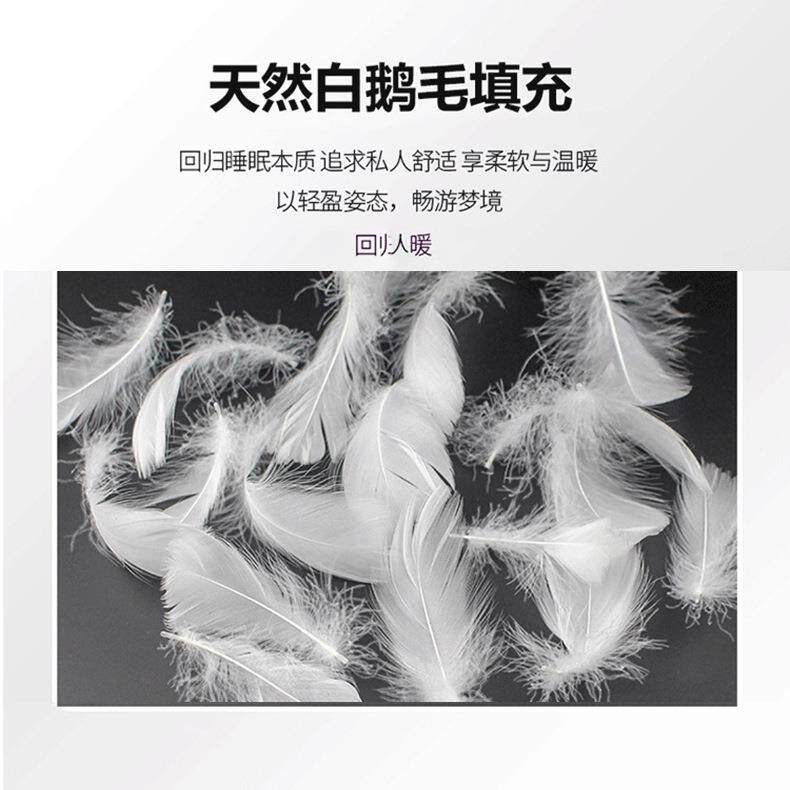 五星级酒店白鹅毛被子羽绒羽毛被芯95白鹅绒丝被芯春秋被加厚冬被