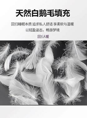 五星级酒店白鹅毛被子羽绒羽毛被芯95白鹅绒丝被芯春秋被加厚冬被