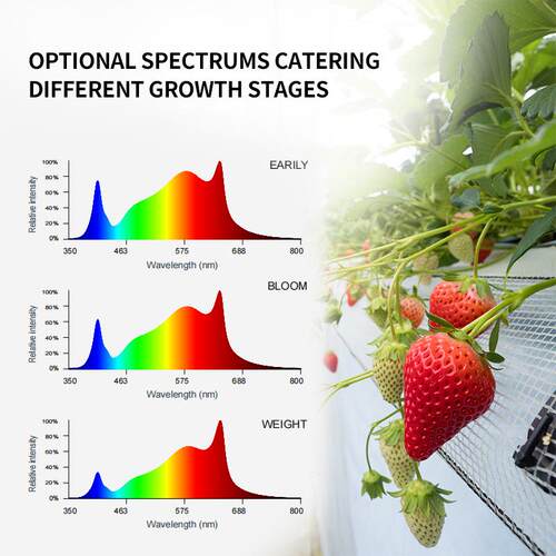 磁吸植物补光灯240W植物工厂可调光led量子板植物灯grow light