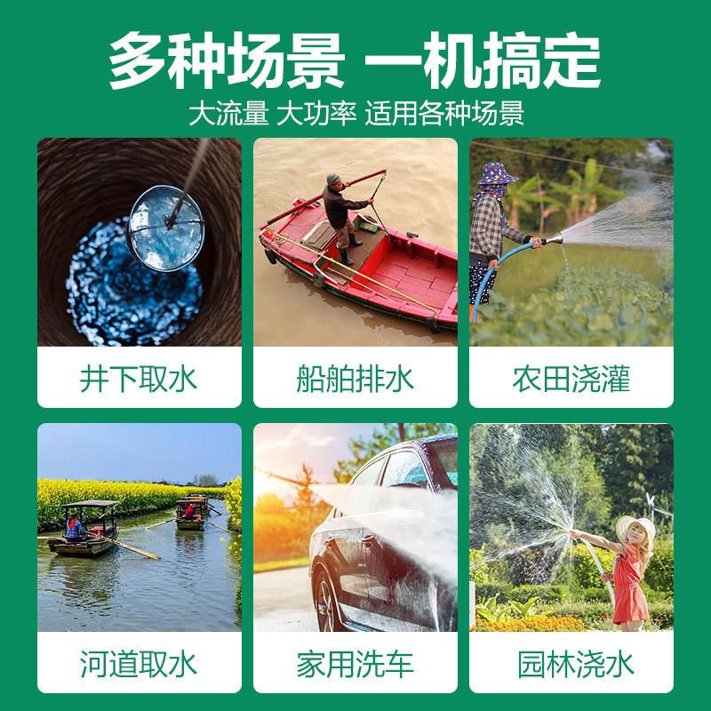 家用潜水家用潜水泵220V扬程农高用抽水型泵机清小水泵污水泵喷泉