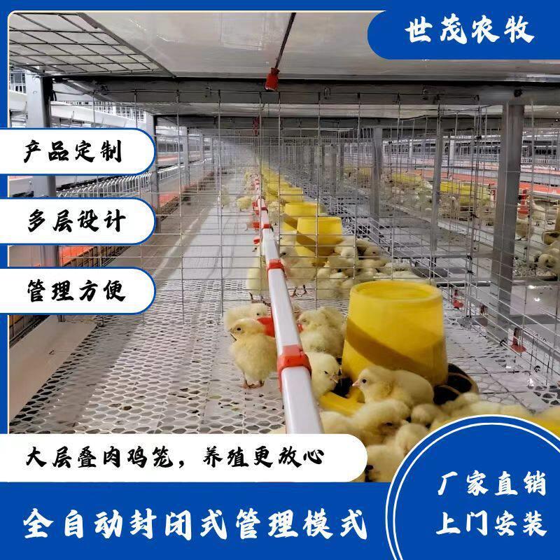 层叠式肉鸡养殖笼全自动肉鸡养殖设备规模化养鸡笼具