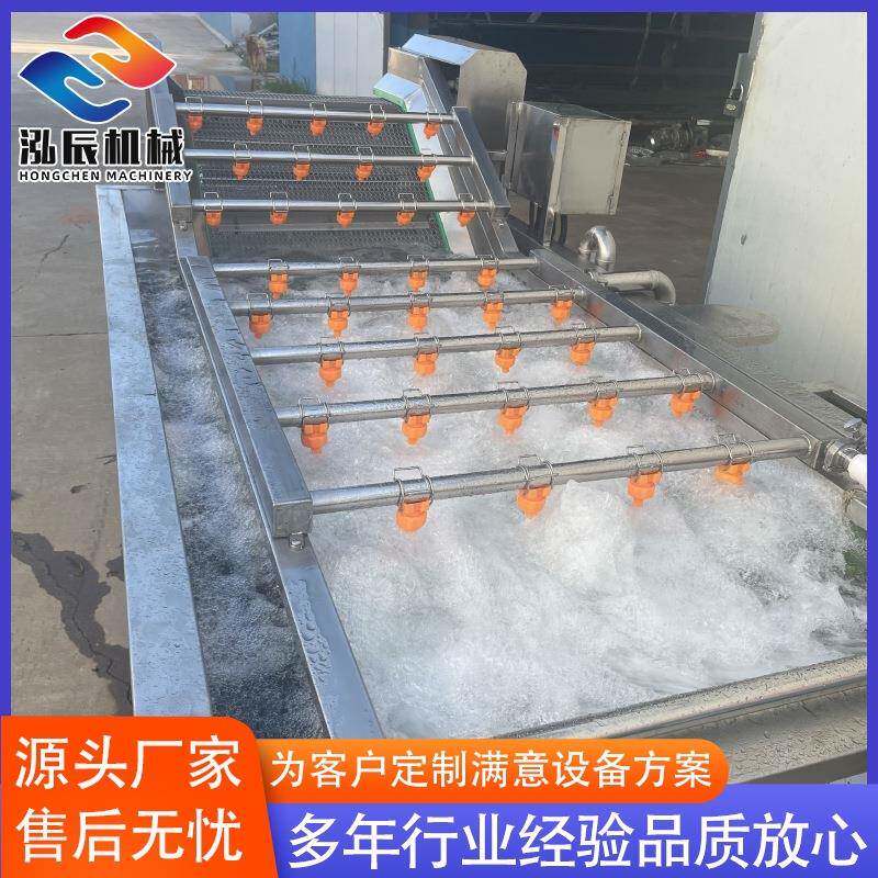 山野菜鼓泡式果蔬清洗机全自动小芹菜净菜清洗线黄豆芽清洗机