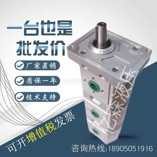 G25 G23 G19G25 G19G33 AF双联泵 G23G33 合肥皖液齿轮泵CBSL