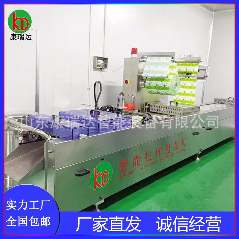 真空包装机香肠抽空塑封机全自动拉伸膜连续式鸡翅鸡爪真空封口机
