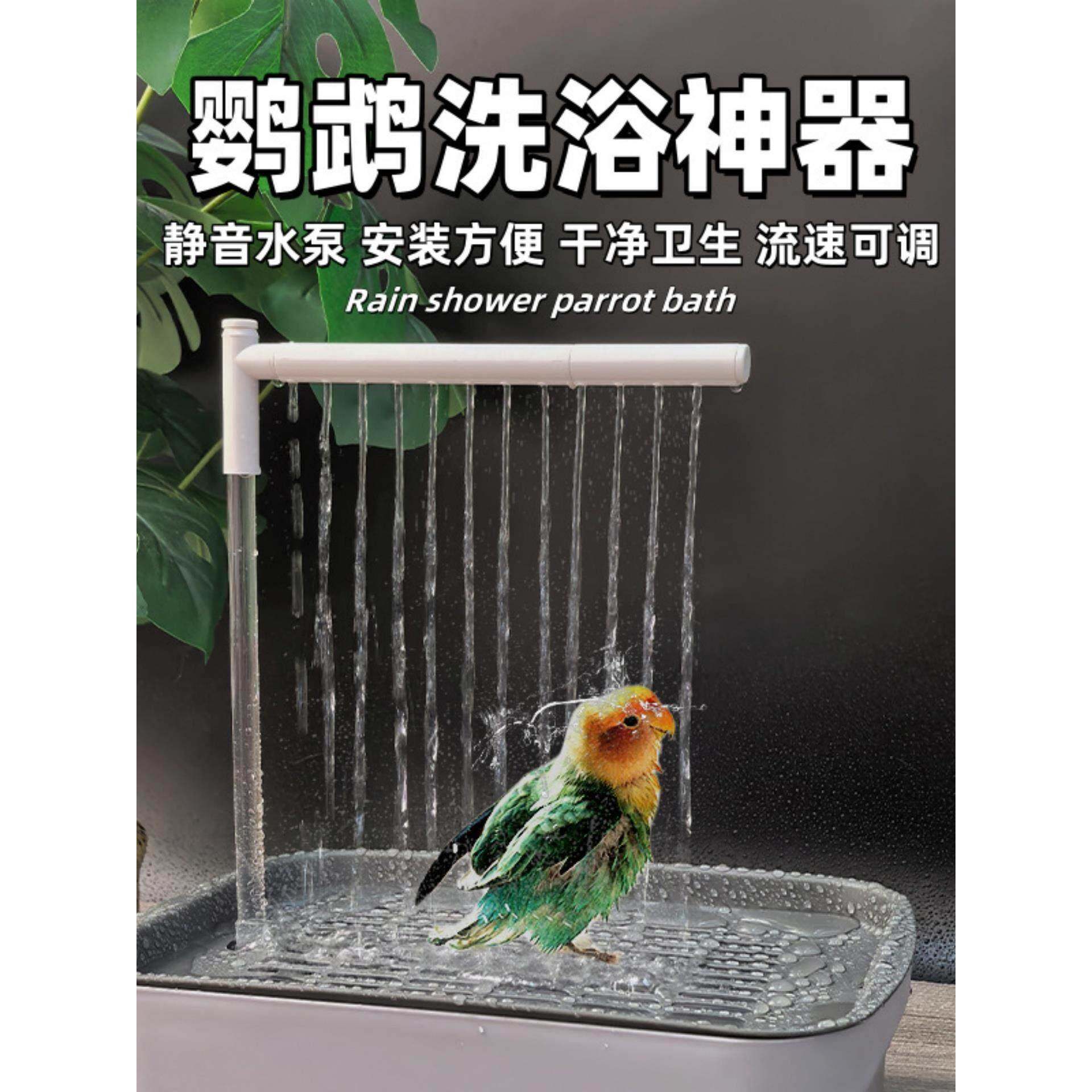 鹦鹉洗澡盆自动循环小鸟洗澡盆鹦鹉洗澡神器电动虎皮牡丹鸟用澡盆