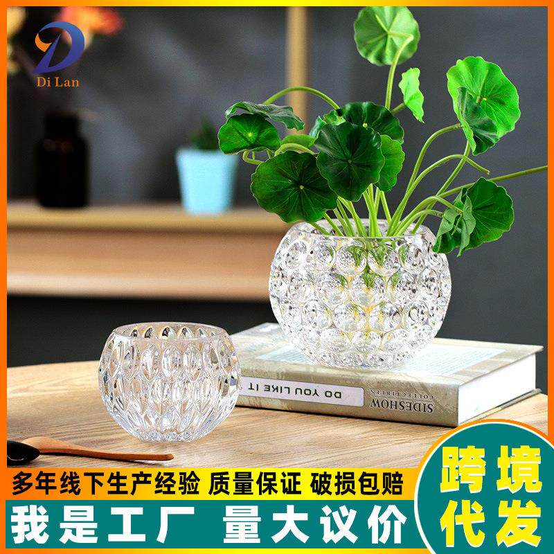 工厂直销透明水晶球玻璃花瓶多肉植物花盆水培绿萝铜钱草桌面摆件