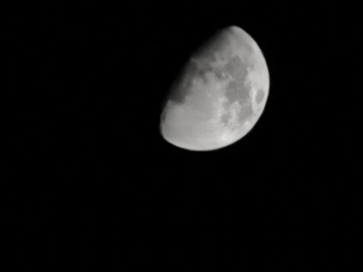 开箱评测黑白调电脑椅是否值得买，真实使用感受？