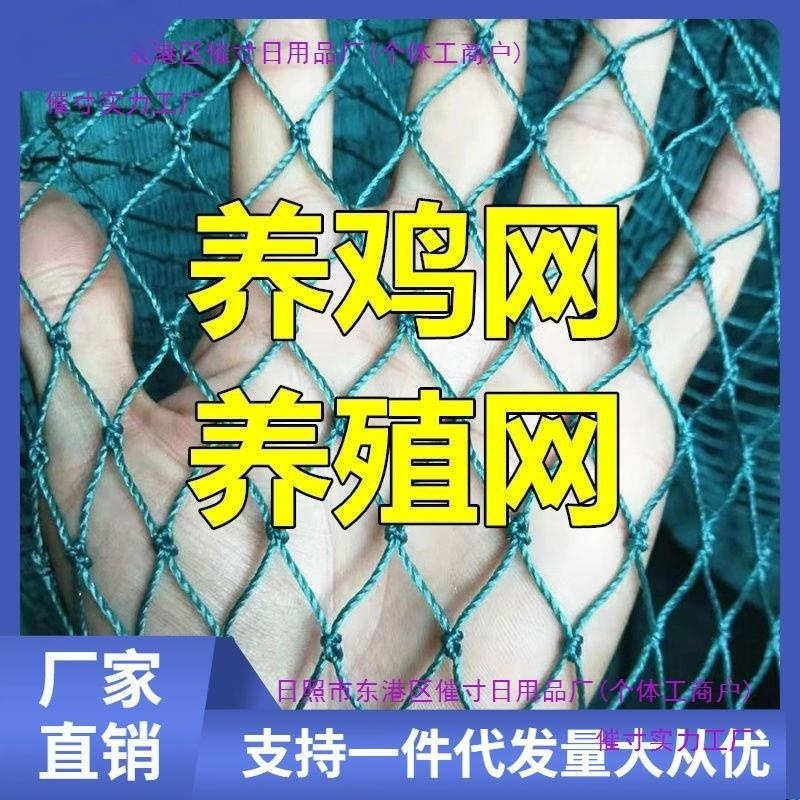 养殖网养鸡网围栏网尼龙网拦鸡网家禽塑料网护栏网防护网菜园围网