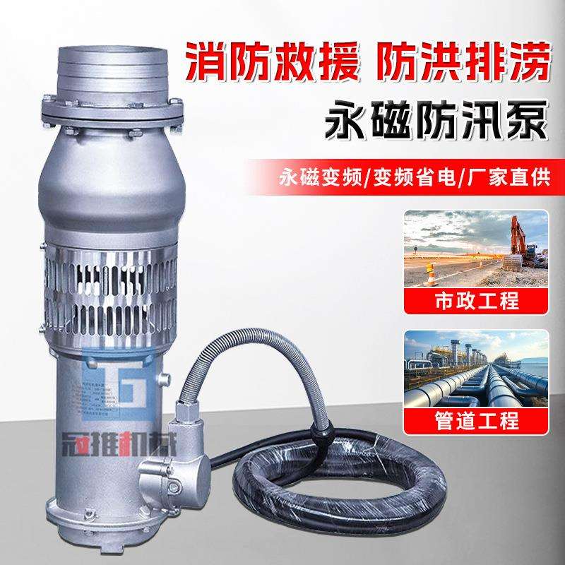 便携式防洪抢险永磁泵大流量高扬程不锈钢排水排涝小型防汛排涝泵