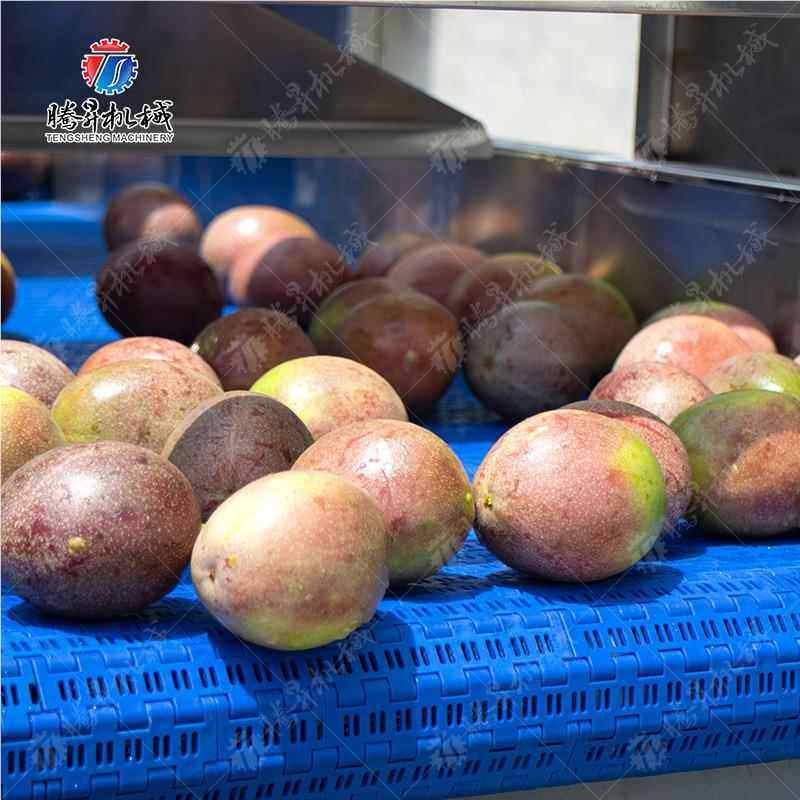 叶菜生产加流工清洗线 蔬菜清洗果线水864 中央厨房学生餐蔬加工,五金/工具,其他机械五金,淘宝优惠券,粉丝福利购,淘宝优惠卷