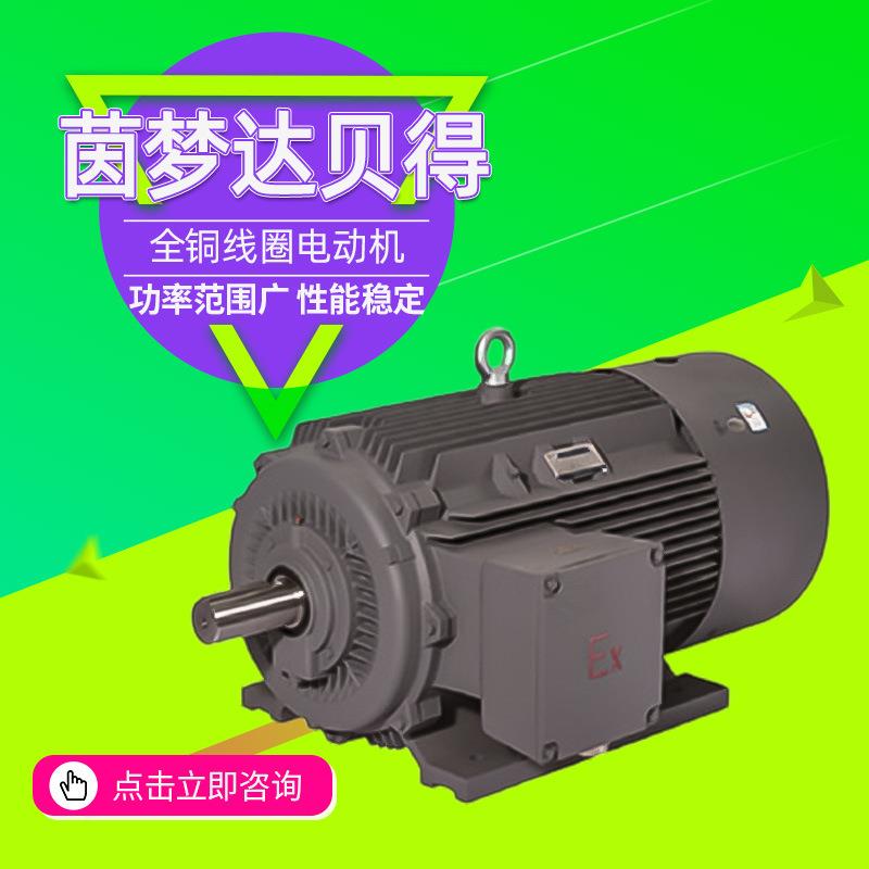 茵梦达电机1MT0系列粉尘防爆全铜线圈三相异步电动机经销商图片