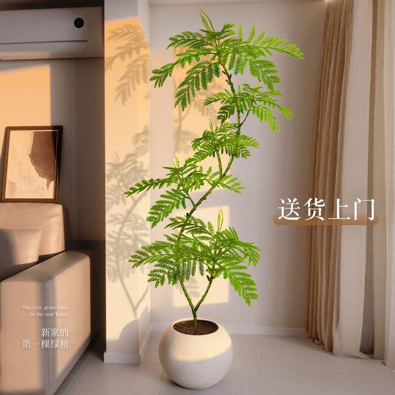 彷真绿色植物蓝色的花楹客厅大型绿植盆栽室内阳台高端轻奢假树摆
