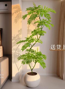 彷真绿色植物蓝色的花楹客厅大型绿植盆栽室内阳台高端轻奢假树摆