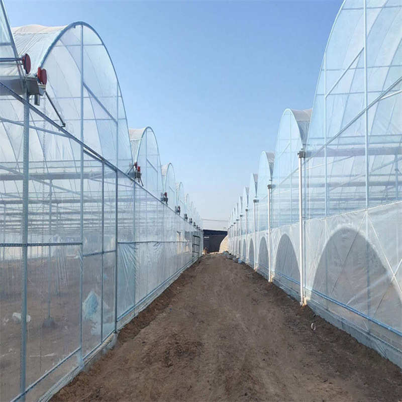 连栋薄膜大棚农业种植花卉采摘智能温室大棚骨架连栋拱形观光大棚