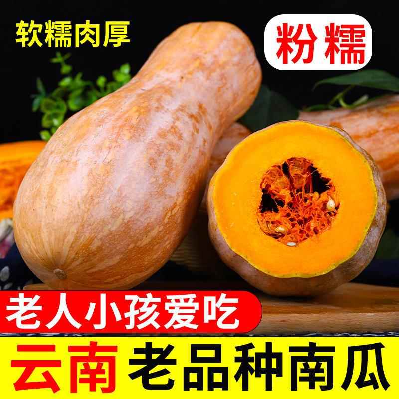 云南老南瓜农家自种当季新鲜粉面甜糯小宝宝辅食整箱蒸煮密本南瓜