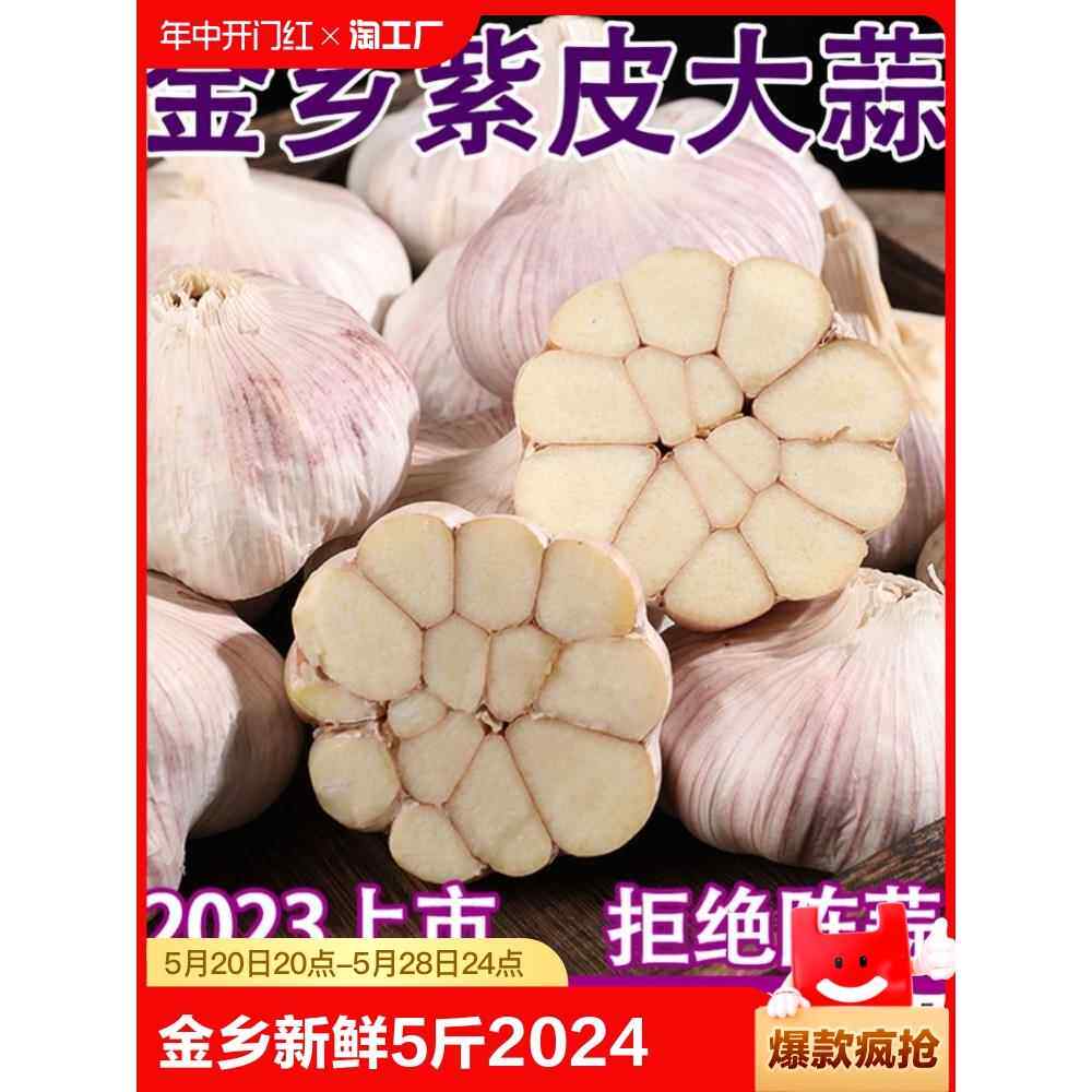 金乡大蒜 新鲜干大蒜头5斤装蒜籽2024当季蔬菜紫皮特大10斤