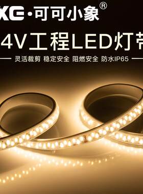 24v低压36V灯带led工地双排防水超亮船用隧道地下室工程施工照明