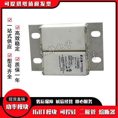 170M1832 170M1833 170M1842巴斯曼熔断器现货170M1843 170M1844