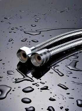 不锈钢软管淋浴头P