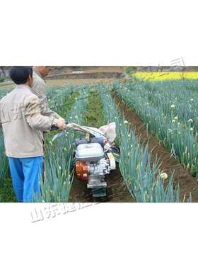 手机扶式大培TLM土农田起垄柴油耕机土旋豆甘蔗葱种植开沟培土设