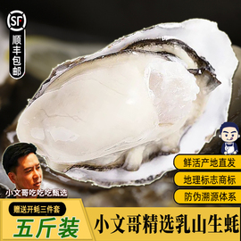 小文哥乳山生蚝贝类海鲜活牡蛎，海蛎子烧烤特大肥，整箱5斤威海水产