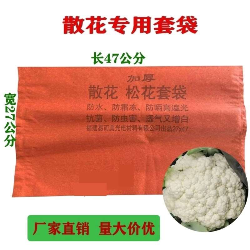 西兰花松花菜专用纸袋花菜袋子防虫防水防晒防鸟透气耐用双层口袋