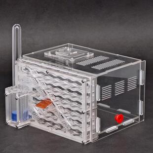 亚克力蚂蚁城堡工坊宠物蚂蚁巢蚂蚁家园部落蚁窝