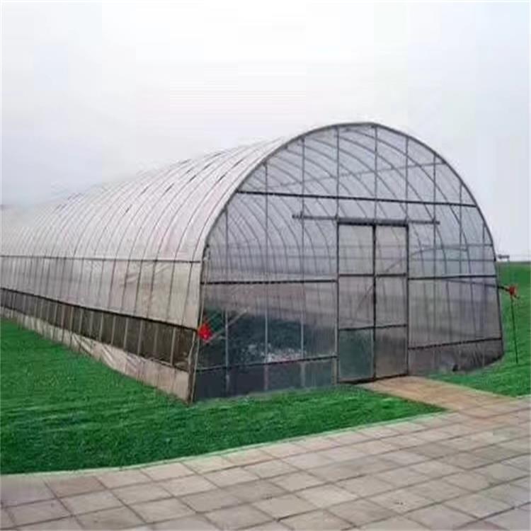 温室大棚全套花卉育苗连体大棚骨架防雨棚养殖棚农业种植火龙果棚