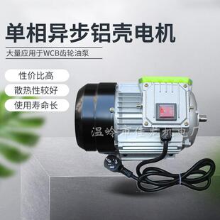 单相异步电动机机械设备用电动机wcb齿轮油泵电机厂家直供马达