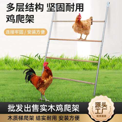 户外鸡玩耍睡觉木架子加固家禽爬梯镀锌管防磨脚鸡爬架户外耐候
