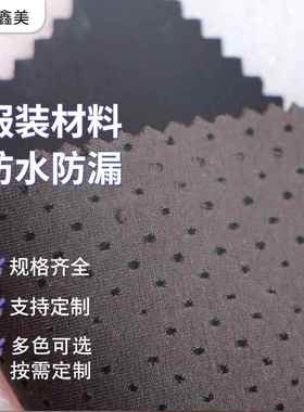 黑色莱克锦纶料发棉泡复合底弹布力布冲孔暴汗229服布运动服料