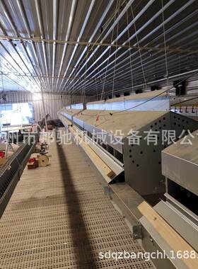 产蛋箱蛋鸡养殖场人工养鸡设备镀锌板产蛋箱鸡窝蛋箱集蛋设备