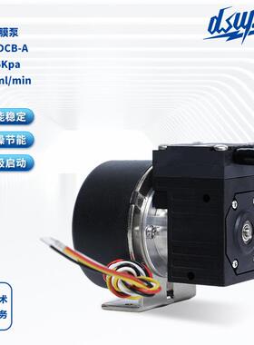 气体隔膜泵DS03DCB-A12V/24V气体隔膜泵无刷小气泵厂家直供