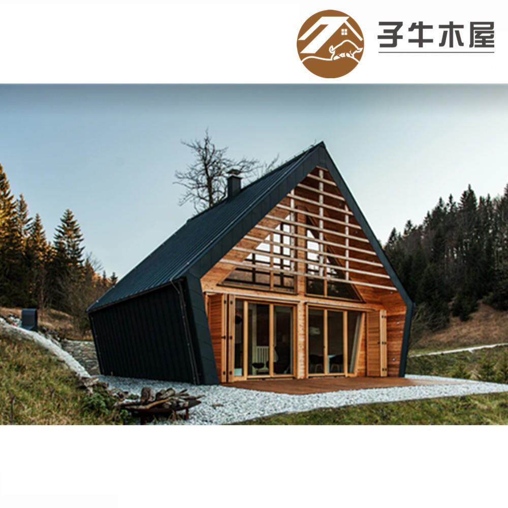 浙江厂家供应农家乐两层活动板房民宿住宿农村小屋网红组合木屋
