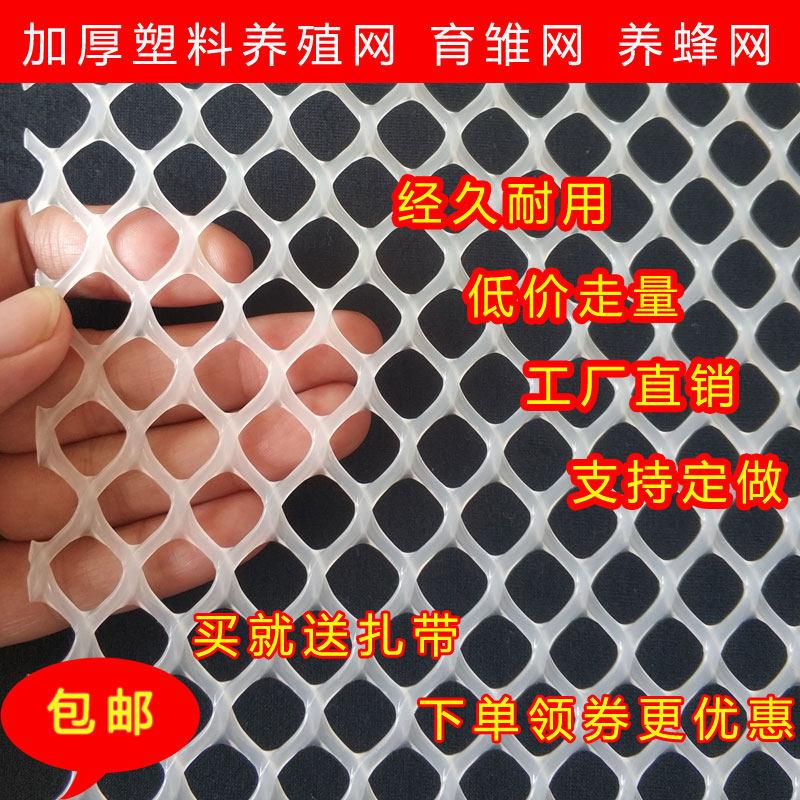 加厚整捆塑料网格养殖防护网防猫育雏网床养殖漏粪网阳台养蜂鸡网