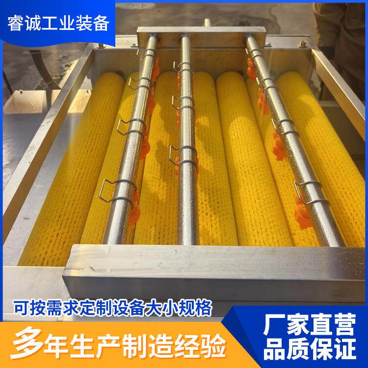 粽子生产全套设备双层粽叶清洗机循环水薄荷叶粽叶清洗机器